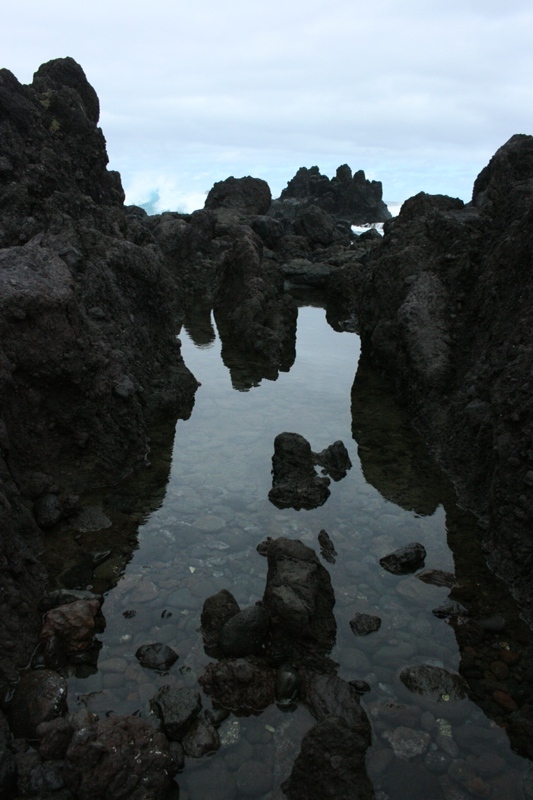 photo of Hawaii's Laupehoehoe lava formations looking north
